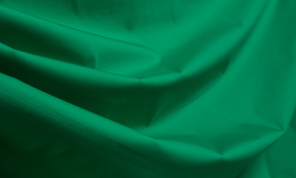 Тканина бавовна сорочкова однотонна зелена Італія Stella Ricci                                                                                                                                                                                             - Фото